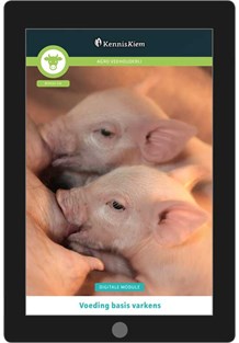 Digitale module Voeding basis varkens